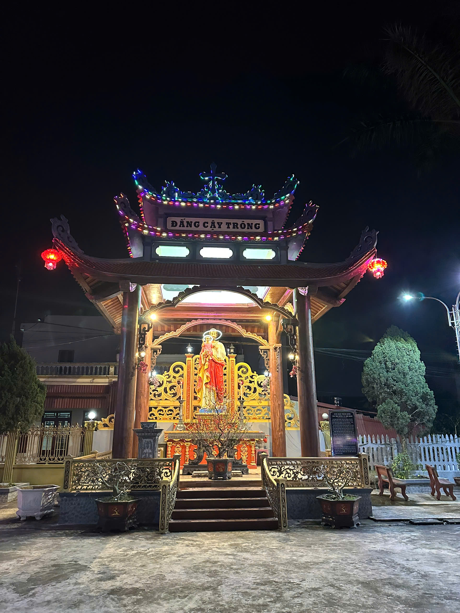 Lễ Giáng Sinh ấm cúng tại nhà thờ, hang đá và cây thông lung linh